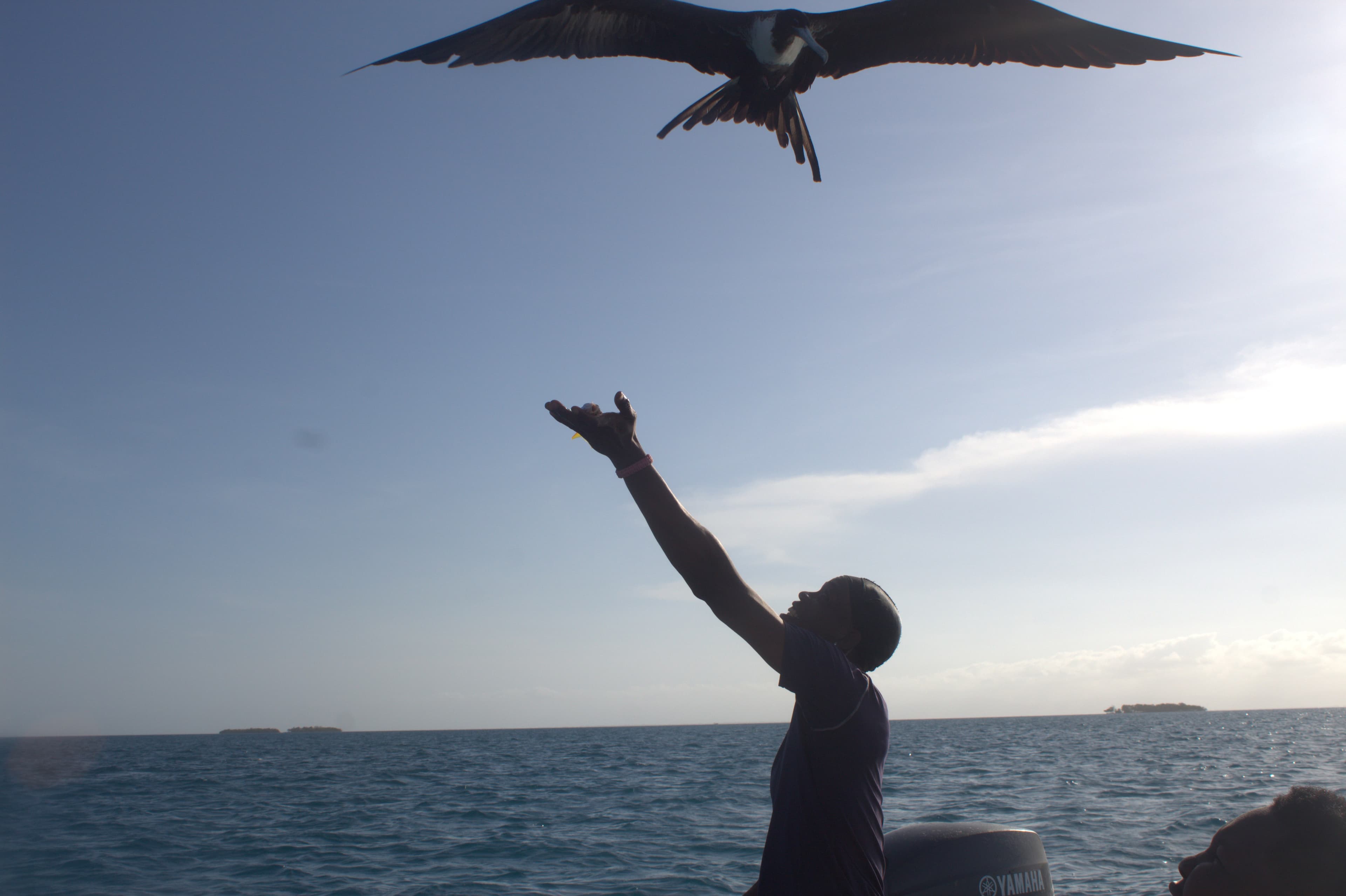 Eco tourism guest experience at Hawk Caye Lodge in Belize