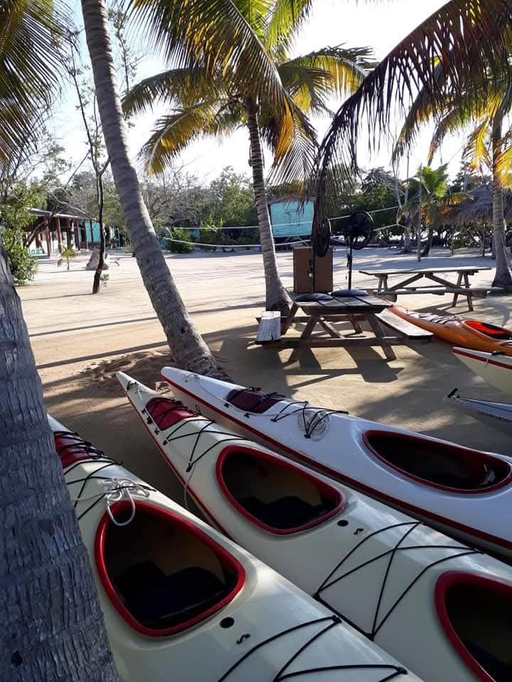 Belize Barrier Reef Snorkeling Guide: Best Spots, Seasons & What to Expect