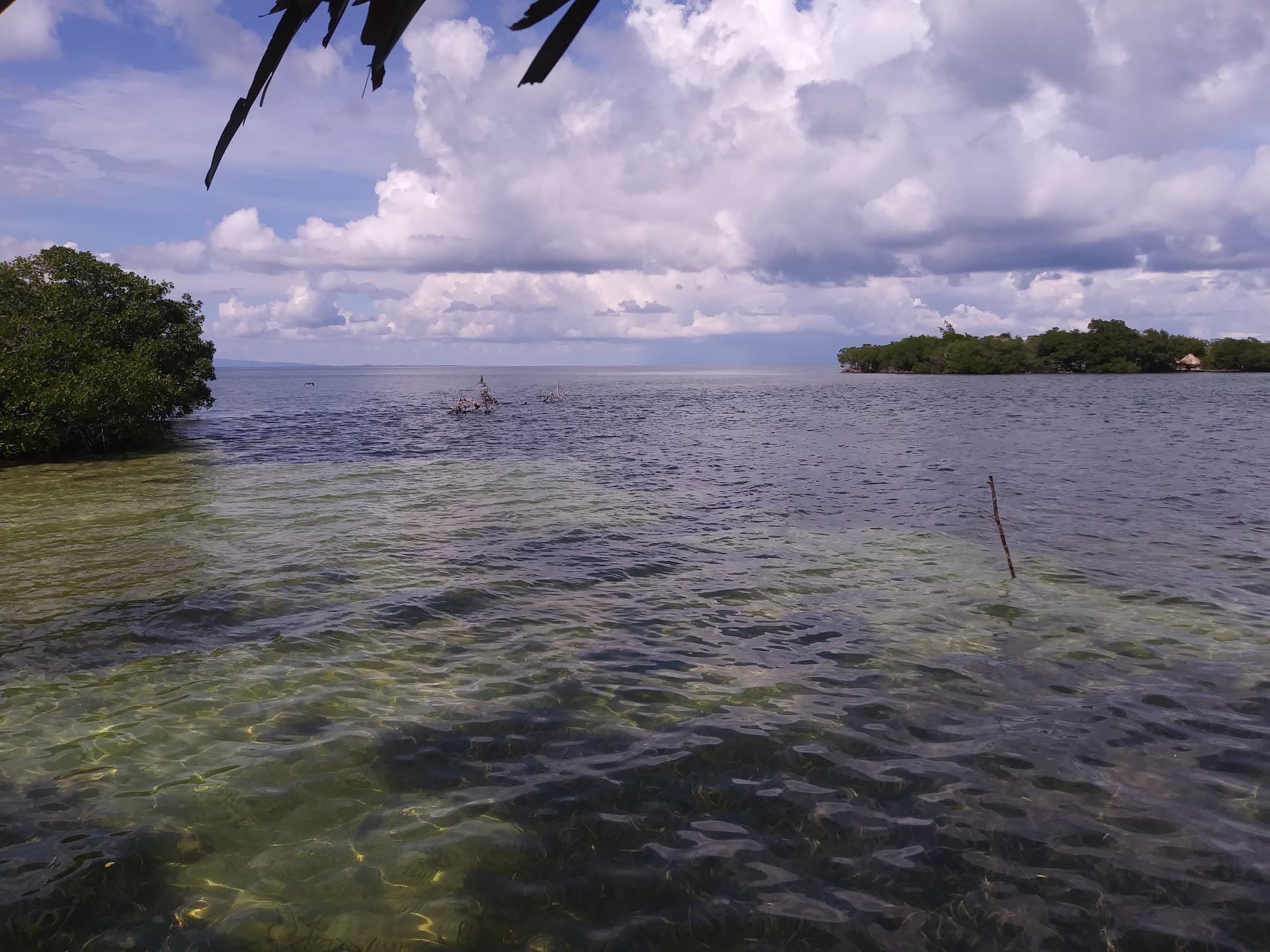 Southern Belize Cayes: Hidden Gems Beyond Ambergris Caye & San Pedro