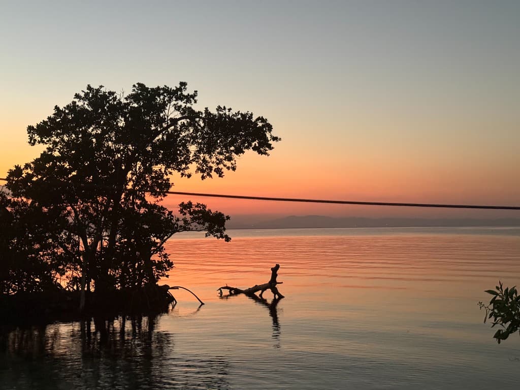 Sunset Snorkel